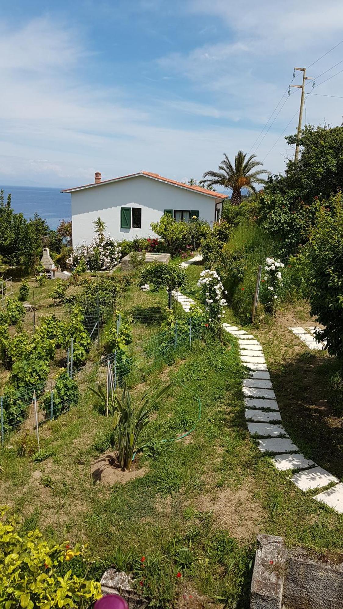 Hotel Gallo Nero SantʼAndrea Exteriér fotografie
