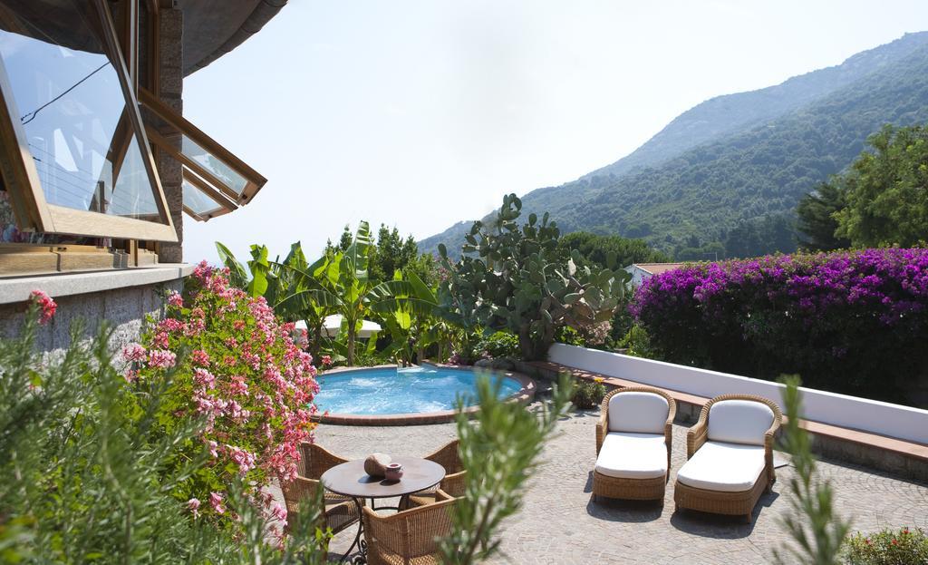 Hotel Gallo Nero SantʼAndrea Exteriér fotografie