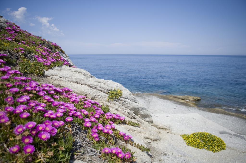 Hotel Gallo Nero SantʼAndrea Exteriér fotografie